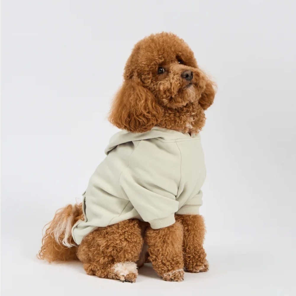 Buffbunny Buffpups Pistachio Cloud Hoodie Size XXL